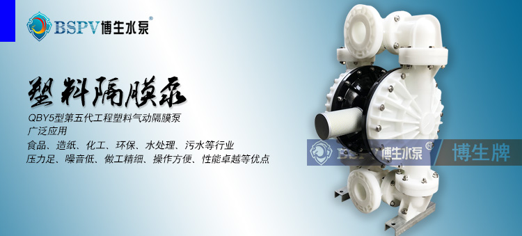 QBY5-80100塑料隔膜泵-0022.jpg